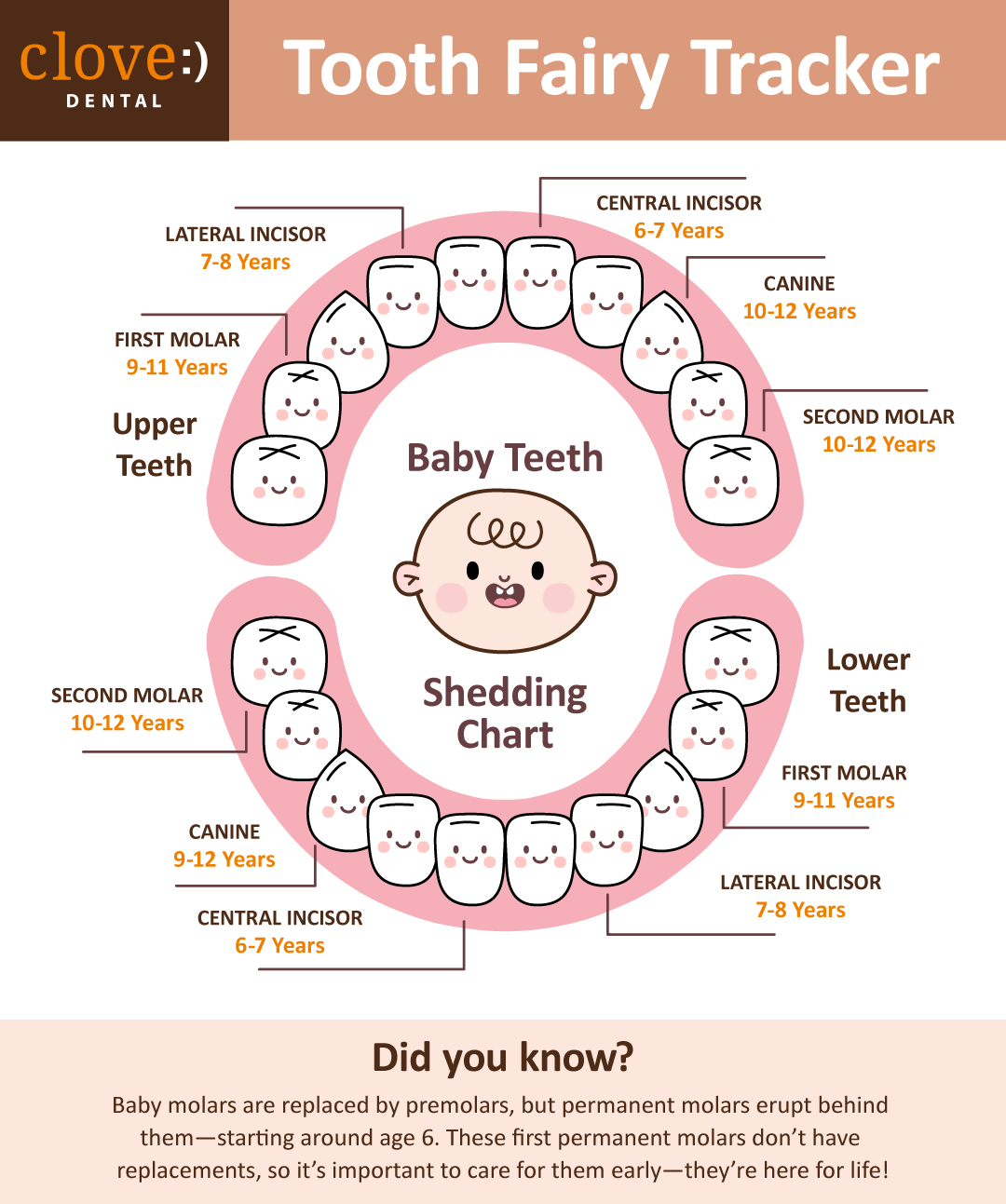 Tooth fairy tracker at clove dental