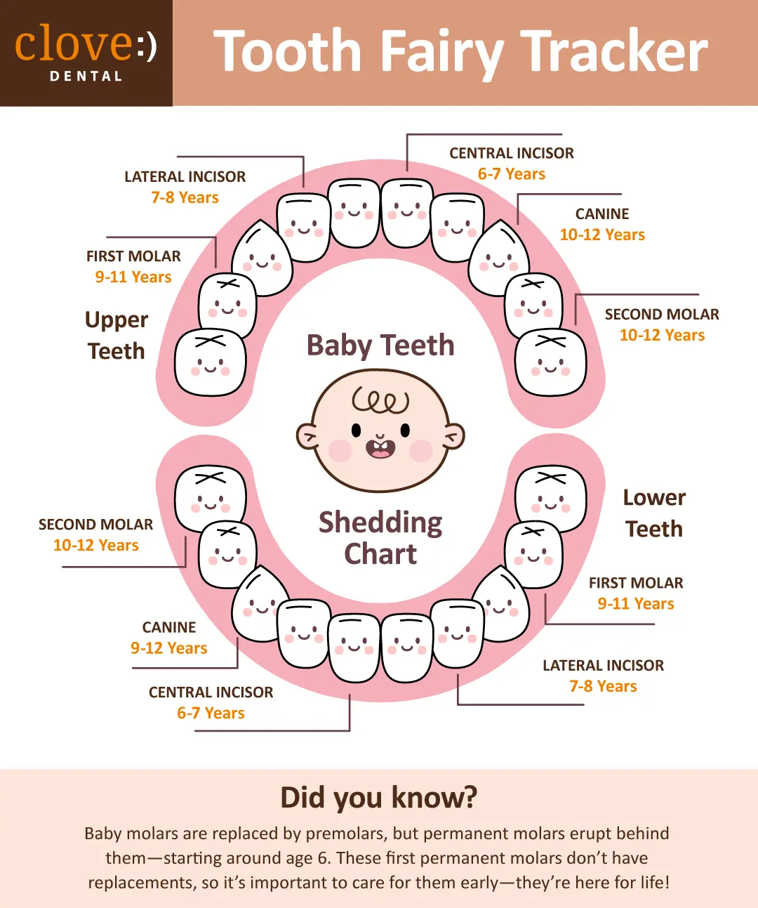 Tooth fairy tracker at clove dental