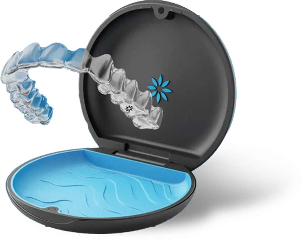 Clear aligner system in case